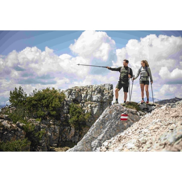 Komperdell Trekking Poles FX Lite Carbon Vario Approach Compact 104770