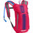 Camelbak Hydration Pack Hot Pink/Purple Stripe Mini M.U.L.E CB1155603000