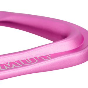 Mammut Carabiner Workhorse Keylock Quickdraws