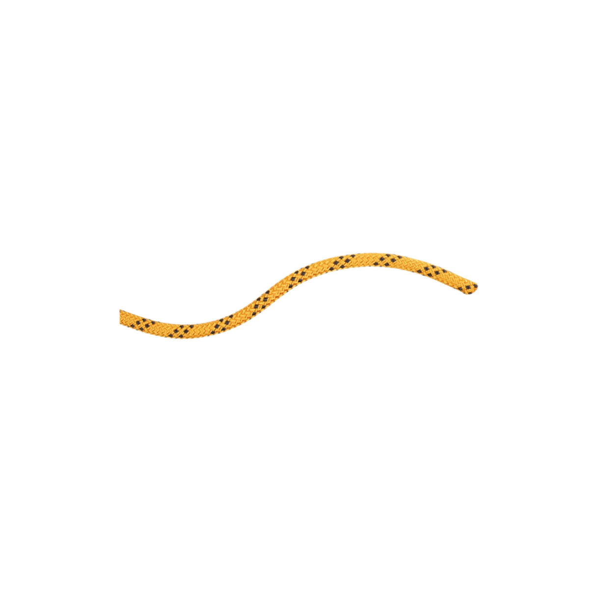 Mammut Climbing Rope Mammut 10.0 Performance Static Rope