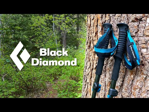 Distance Carbon FLZ Trekking Poles (Past season)